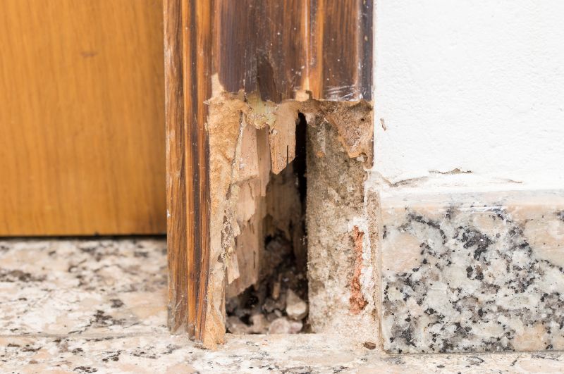 Rotting Door Repair in Conroe, TX