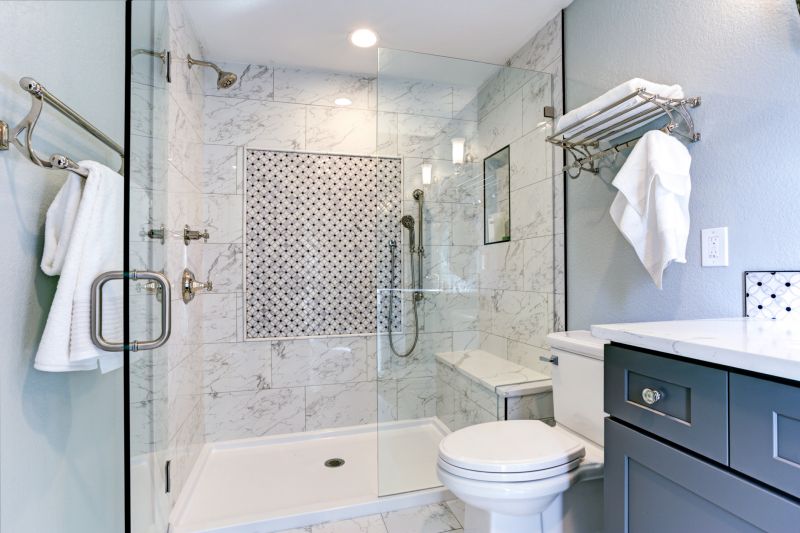 Shower Door Replacement in Denver County, CO